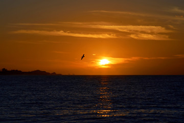 Sunset on the sea or the ocean, a sunny path on the water and a 