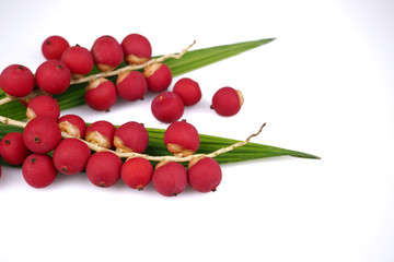 Close up , Ripe betel nut red seed balls bunch of Palm with little green leaves isolated on white background.