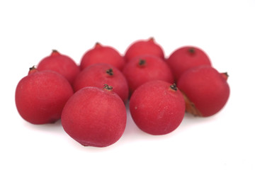 Close up , Ripe betel nut red seed balls bunch of Palm , isolated on white background.