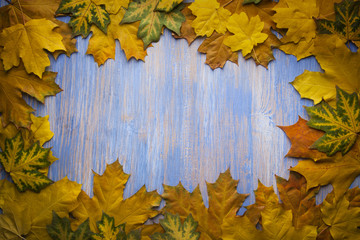 autumn leaf on blue wood background (top view)