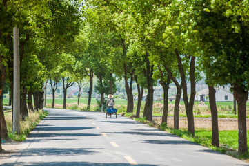 Fototapeta na wymiar Road with motorcycle and trees growing on both sides