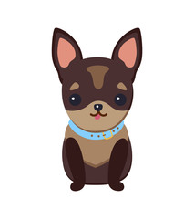 Fototapeta na wymiar Chihuahua Puppy with Collar Vector Illustration