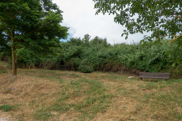 Camino Santiago at the height of forgiveness