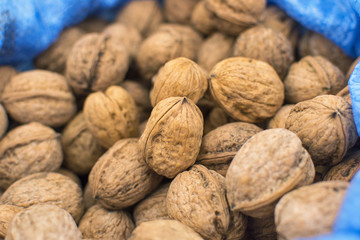 Walnuts in the shell.