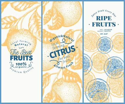 Orange fruit banner set. Hand drawn vector fruit illustration. Engraved style vintage citrus background.