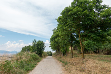 Camino Santiago at the height of forgiveness