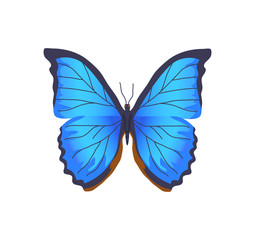 Butterfly of Blue Color Poster Vector Illustration