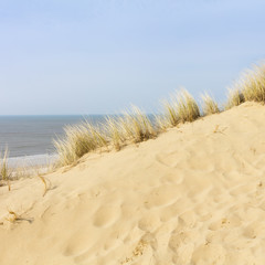 Dünenlandschaft, Sylt, Nordfriesische Insel, Nordfriesland, Schleswig-Holstein, Deutschland, Europa