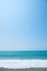 Fototapeta premium 土佐の夏