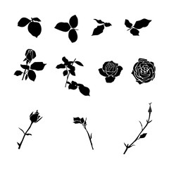 Naklejka premium Roses separate details