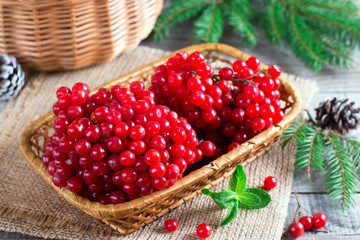 Ripe red viburnum berries in a wooden bowl