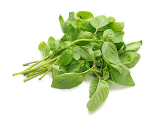 Fresh basil on white background