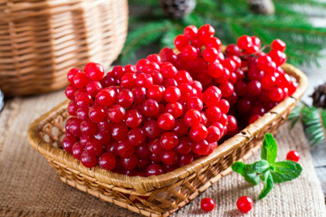 Ripe red viburnum berries in a wooden bowl