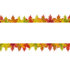 Fall Maple Leaves Horizontal Banner Template Isolated on White Background.Watercolor Botanical Frame  for  Cards,  Invitations, Posters, and other Printable Announcement, Advertising, and Promotions.
