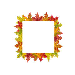 Fall Maple Leaves Square Template Isolated on White Background. Watercolor Botanical Frame  for  Cards,  Invitations, Posters, and other Printable Announcement, Advertising, and Promotions.