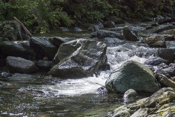 Fiume
