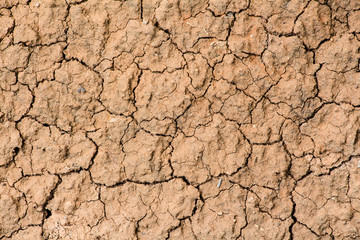 Desertification