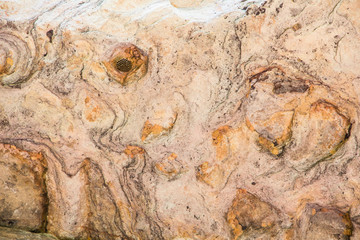 texture of sandstone