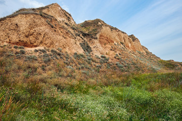 wildflowers on high coast by the sea, beautiful coastal landscape, travel concept