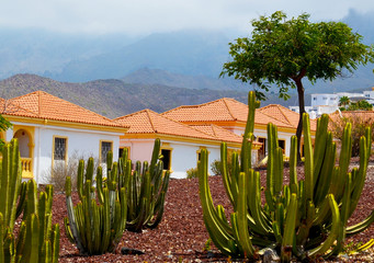 Beautiful view of San Eugenio village with exotic cactuses in the foreground in Tenerife,Canary...