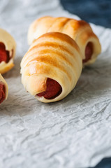 Pigs in a blanket on a baking paper. Close up. Fast food, beer snack or lunch box food concept.