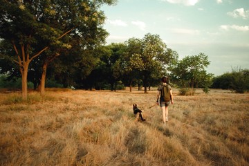 Fototapeta na wymiar Best friends. A girl walks in a field with a dog. A woman and a German shepherd.
