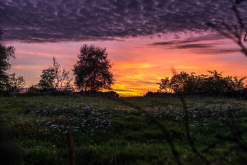 Sunset Stavanger Norway