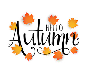 Hello autumn hand drawn lettering with fall. Vector autumn emblem © designervector