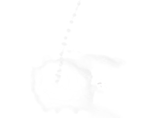 Splash of liquid in motion isolated