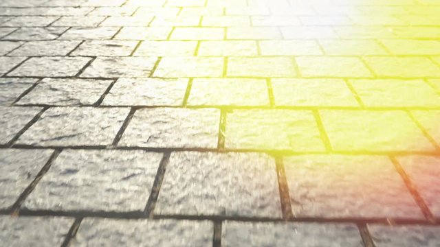 Pavement made of stone. Beautiful garden walkway