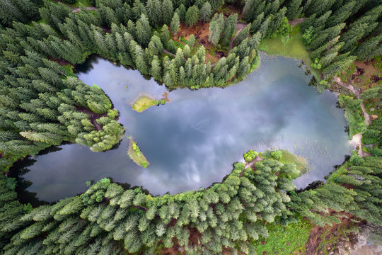 Aerial view of Vrbicke pleso tarn in green fir forest, Slovakia. Low Tatras mountains