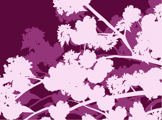 purple spring background from blossoming cherry tree branches