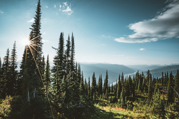 View from Mount Revelstoke towards sunset on a clear blue sky. British Columbia Canada.