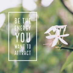 Inspirational motivational quote "be the energy you want to attract." with white flowers background.
