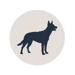 Icono plano silueta perro pastor aleman en circulo gris