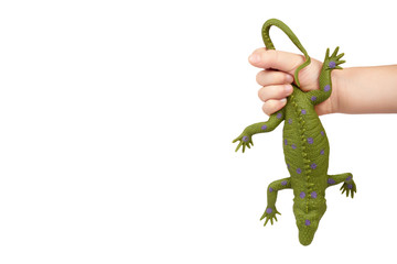 Green rubber lizard toy with kid hand, isolated on white background. copy space template