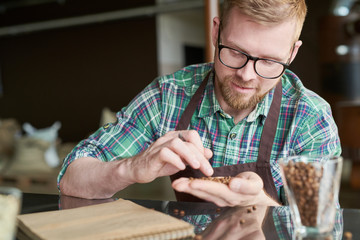 Portrait of smiling modern barista holding handful of fresh coffee beans and checking quality of...