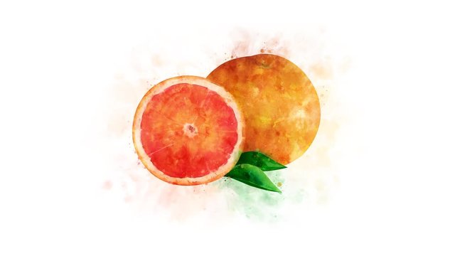 Grapefruit on a transparent background