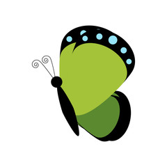 Butterfly insect illustration