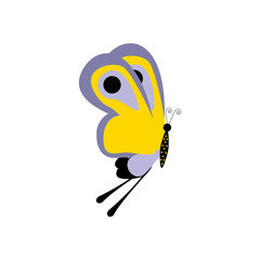 Butterfly insect illustration