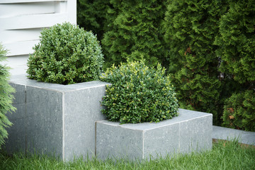 Stone flowerbed with bushes in the green grass among the trees.