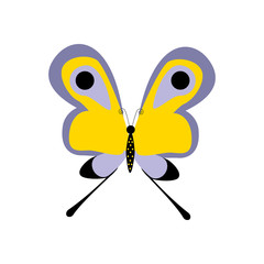 Butterfly insect illustration