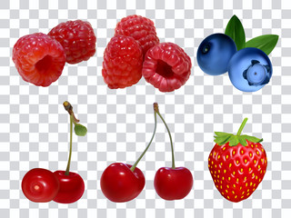 Set of different berries at transparent background realistic vector illustration. Raspberry, strawberry, cherry, blueberry.