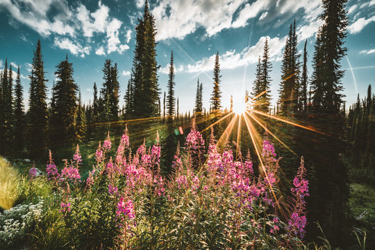Lake on the summit of Mount Revelstoke sunset reflection sunstar across forest with blue sky and clouds. British Columbia Canada.