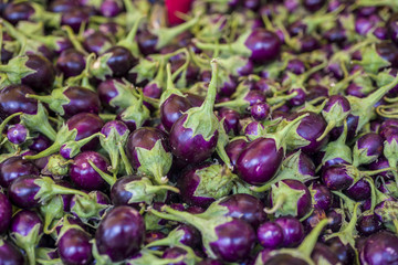 Baby eggplant at the market