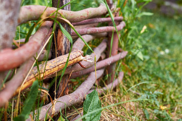 Rustic wicker fence closeup background