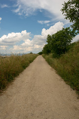 Camino Santiago at the height of forgiveness