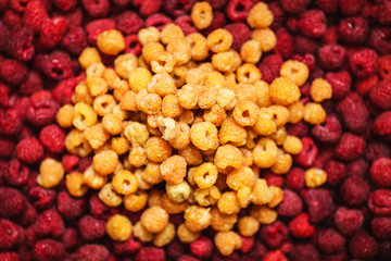 bunch of yellow raspberries lies in middle of red raspberries