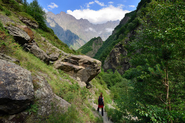 Fototapeta na wymiar Beautiful Dariali Gorge near the Kazbegi city in the mountains of the Caucasus, Geprgia.