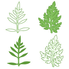 Ragweed leaves illustration set, colored and outline